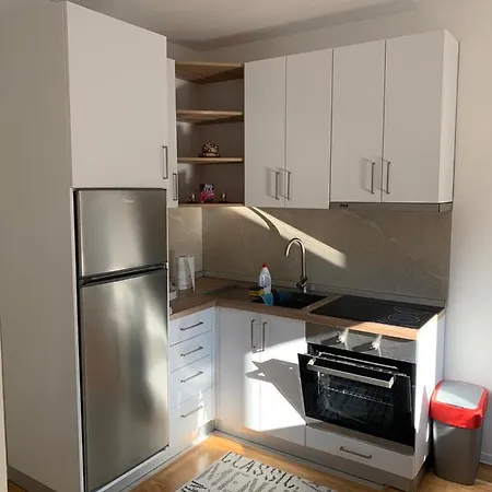 Apartment Vip